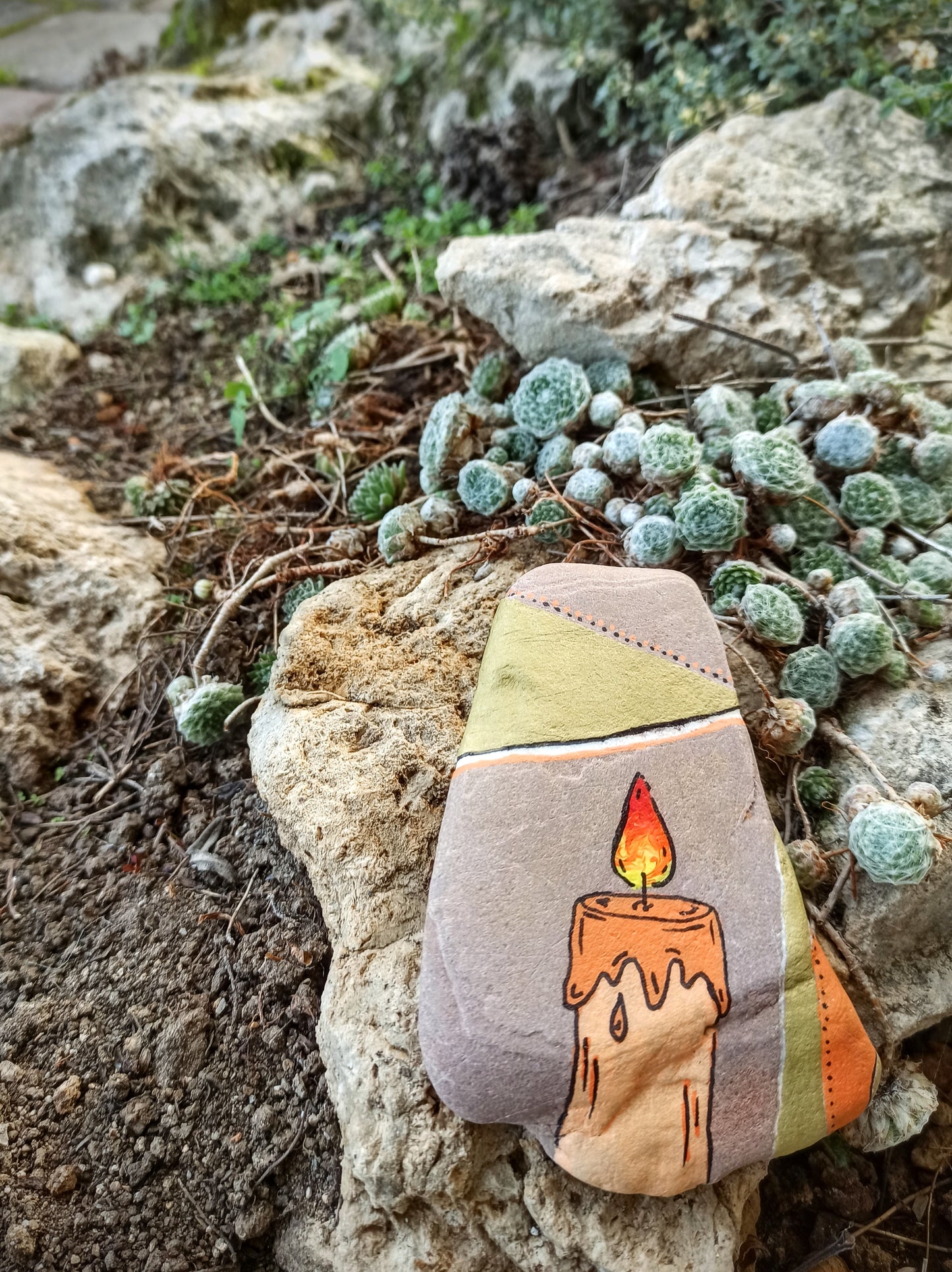 Dekorativna črta 🤍